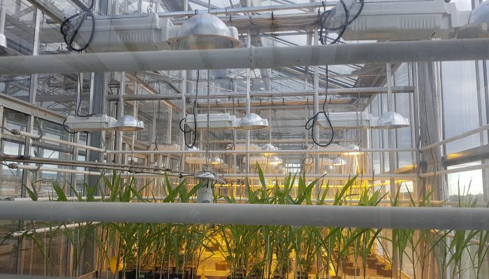 CBD2017 - Visite Grand DIJON - 011 Technopôle AGRONOV à Bretenière (21) - Réhabilitation de deux bâtiments de bureaux et extension pour l'accueil